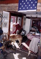 Thomas, named after Thomas Jefferson, hears a song then trots down to his other house nearby--that of MacGregor Burns's ex-wife Joan. Click on the image for larger view. (© FlaglerLive)
