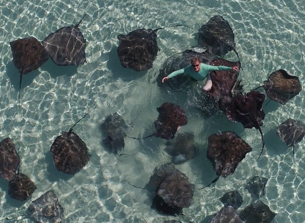 Guy Harvey, in an image from his foundation's website.