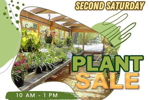 washington oaks state park plant sale