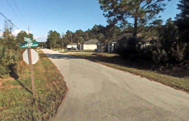 Seward Trail in Palm Coast's Seminole Woods. 