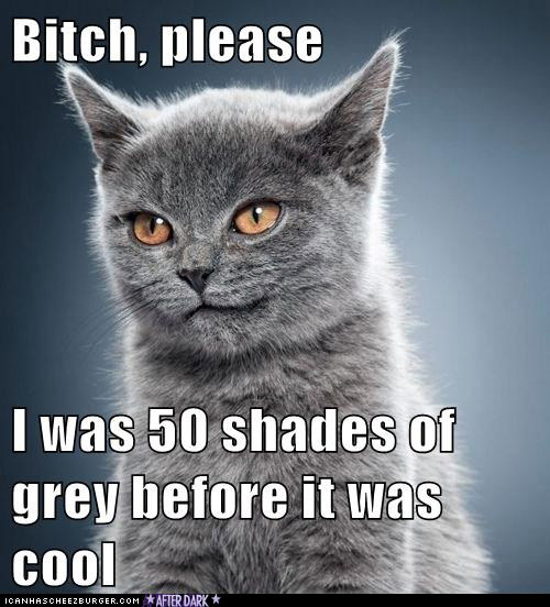 50 shades of gray bitch