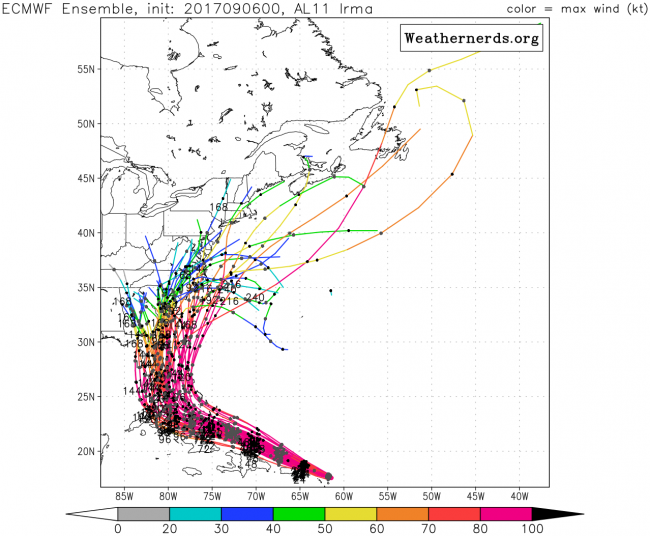 ECMWF Ensembles irma