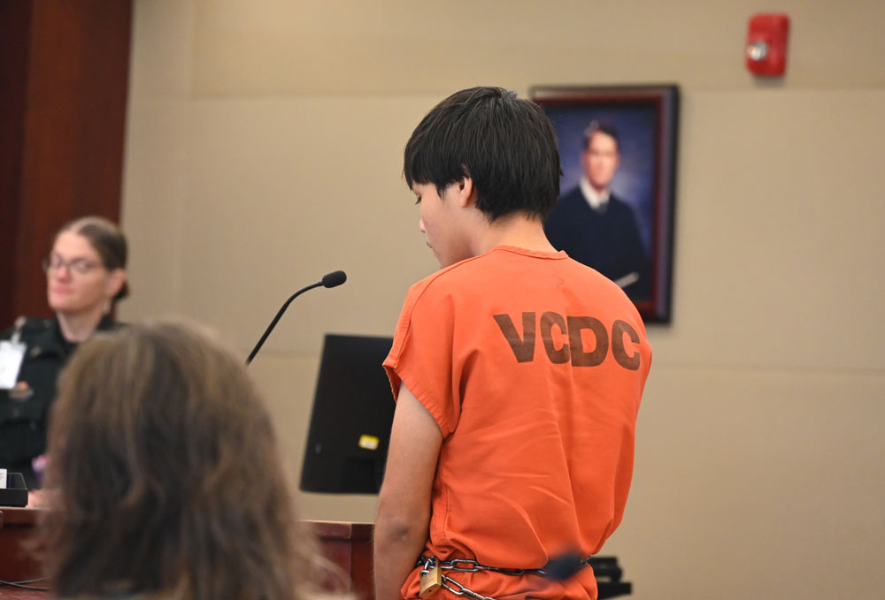 Alan Jaramillo-Hernandez appearing before Circuit Judge Dawn Nichols last week. (© FlaglerLive)