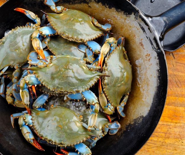 Palatka Blue Crab Festival 34 Musical Acts Memorial Day Weekend