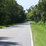 The stretch of shoulderless County Road 305 just north of County Road 2006 where the 81-year-old pedesrtian was struck and killed Wednesday in late afternoon. (© FlaglerLive)