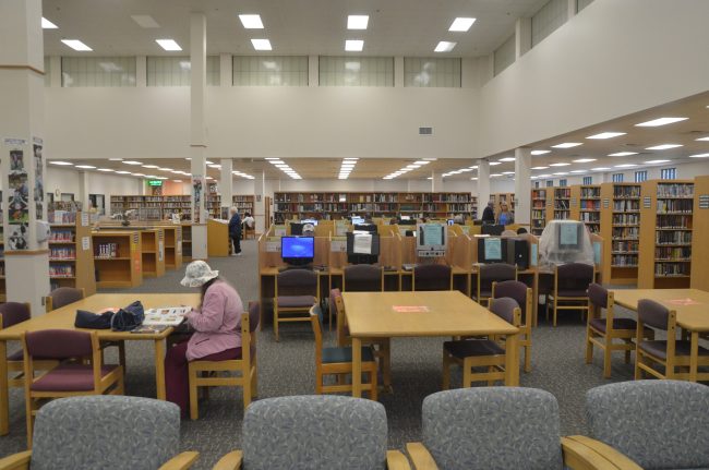 flagler county public library