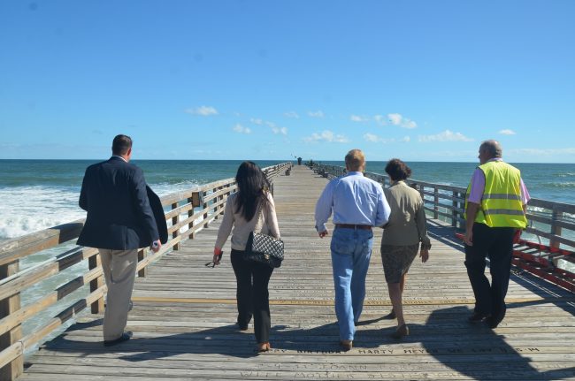 flagler beach survey