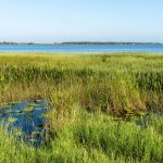 Lake Minneola in Clermont is at the center of an innovative water quality improvement project.