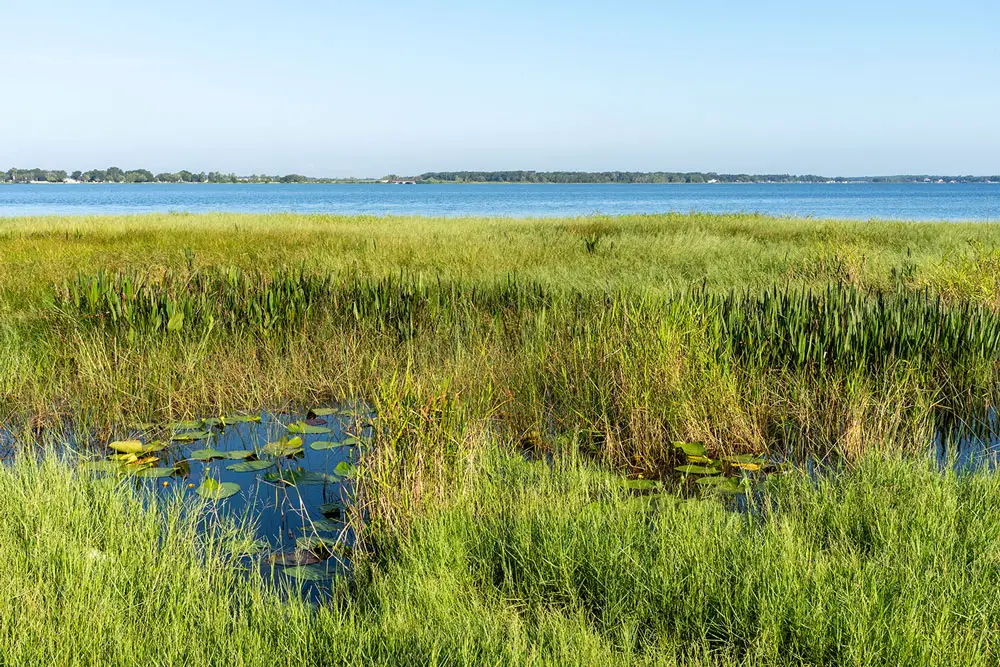 Lake Minneola in Clermont is at the center of an innovative water quality improvement project. 