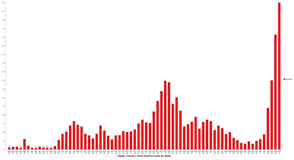 Flagler County recorded a record 665 infections in the week ending Friday, and has since recorded over 500 infections, putting it on pace to record another record this week, exceeding 800 infections. click on the image for larger view. (© FlaglerLive)