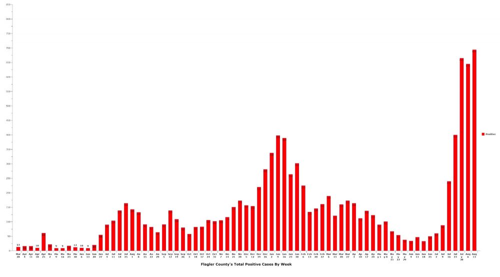 Flagler County set yet another record in confirmed infections last week, at just shy of 700, for a total of 2,000 infections in the last three weeks--more infections in that span than in the first 10 months of the pandemic last year. click on the graph for larger view. (© FlaglerLive)