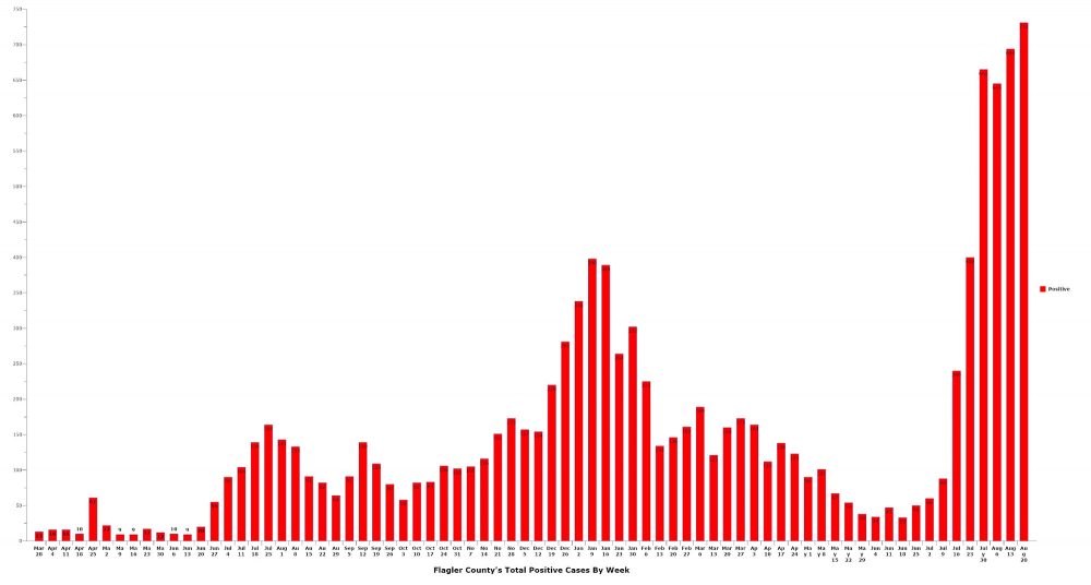 The total number of covid infections and the number of deaths in Flagler County broke yet another record last week. Click on the graph for larger view. (© FlaglerLive)