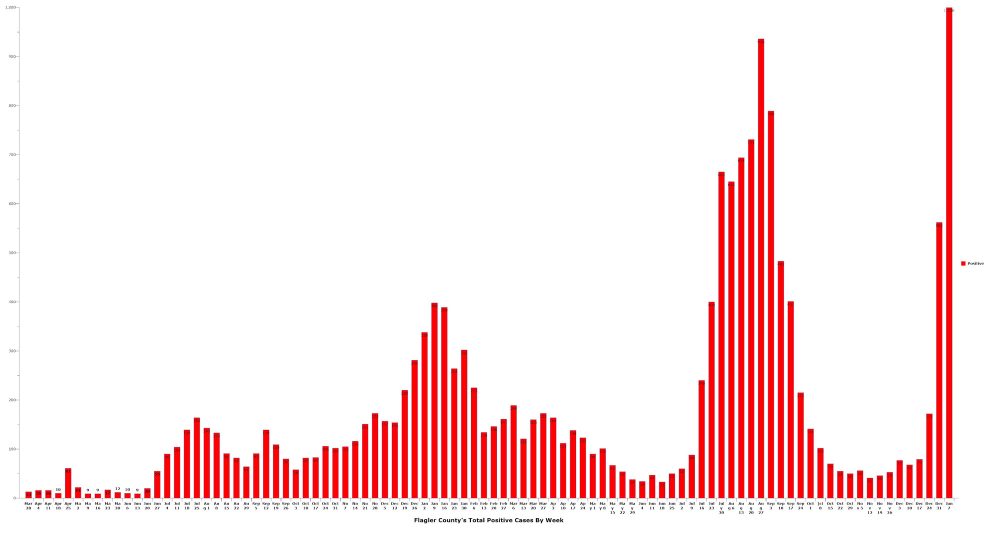 Omicron's extremely infectious capabilities are apparent in Flagler County, where  in the last four days the health department counted nearly 600 confirmed infections, and projects over 1,000 by Friday. Click on the graph for larger view. (© FlaglerLive)