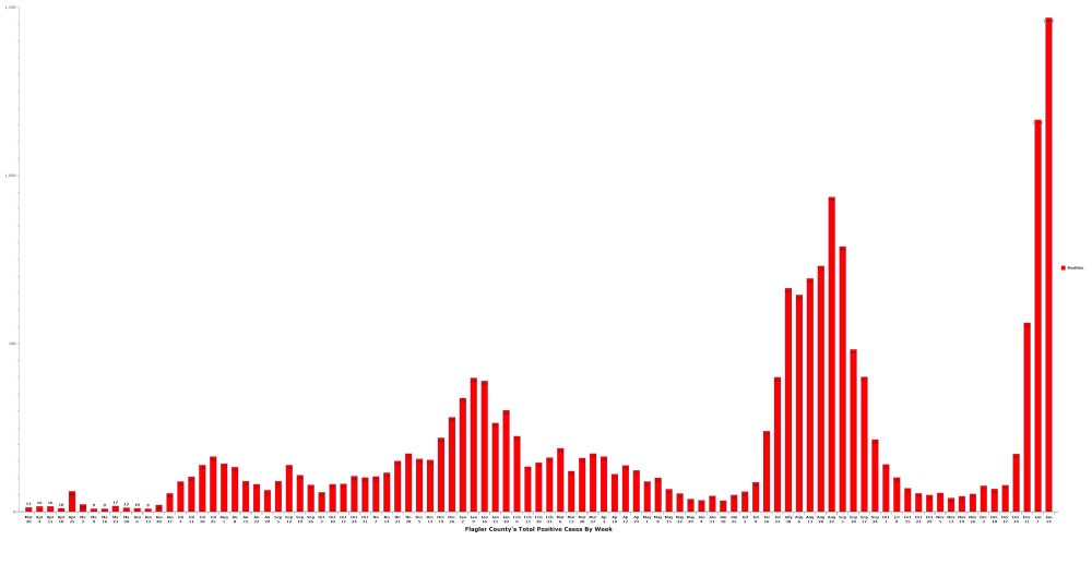 Flagler this week shattered its earlier covid-positive total, with 1,469 new cases. Click on the graph for an uncompressed view. (© FlaglerLive)