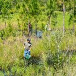 District scientists conduct a survey of plants and animals in the wetlands of the District’s Silver Springs Forest Conservation Area.