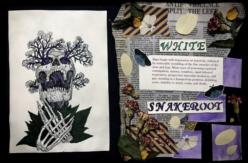 “White Snakeroot’ by Sophia Young won the Mixed Media category.