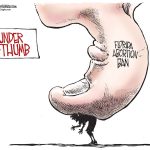 Florida Abortion Ban by Bill Day, FloridaPolitics.com