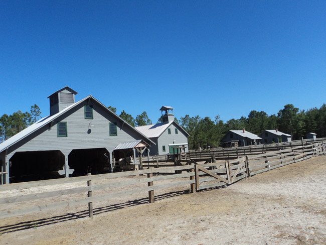 The Florida Agriculture Museum in Palm Coast is failing, and looking for a bail-out. County government stepped in. (© FlaglerLive)