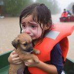 This AI-generated image spread far and wide in the wake of Hurricane Helene in 2024. AI-generated image circulated on social media