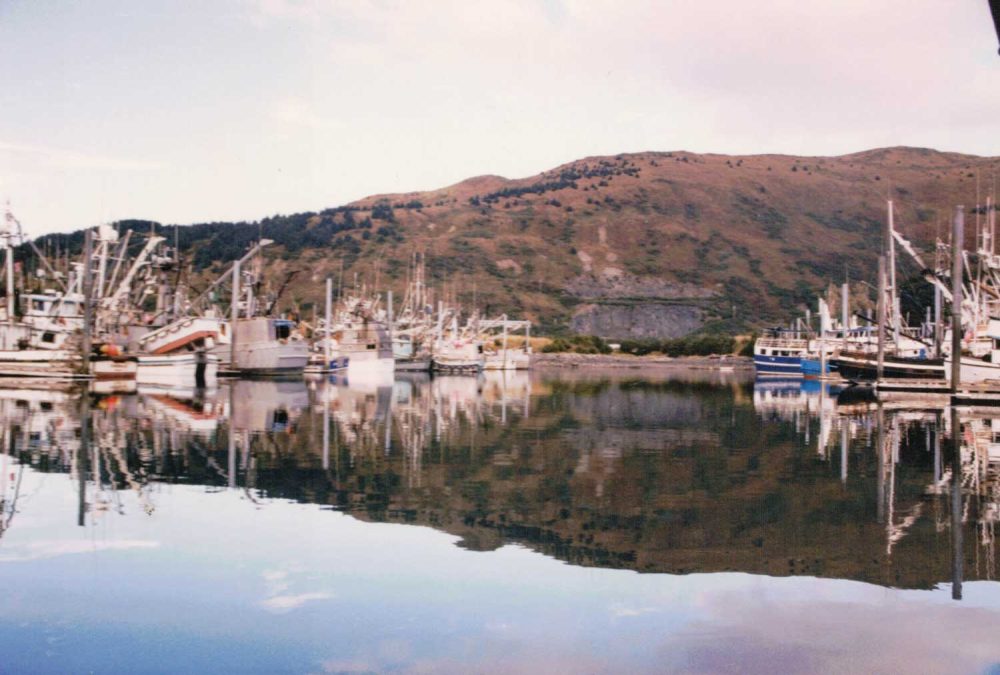 A deceptive calm lulls the fishing boats of St. Paul Harbor on Kodiak Island. Far from a frontier, Kodiak is an outpost of social and economic tensions that would be familiar to anyone in the “Lower Forty-Eights.” (© FlaglerLive)