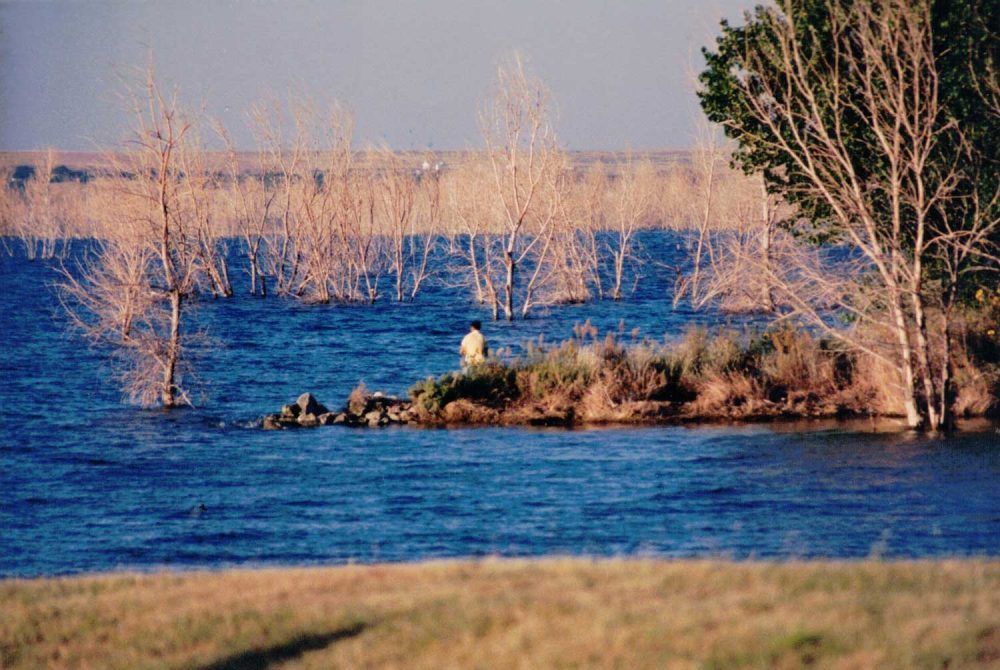 The contrasts of Cedar Bluff State Park in Kansas. (© FlaglerLive)