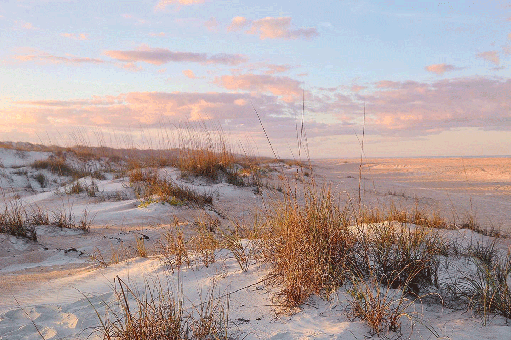 Critics want to finally tear apart DeSantis’ parks plan