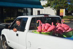 Tireless grunt: Flagler School Board member Andy Dance, with his flock. Click on the image for larger view. (© FlaglerLive)