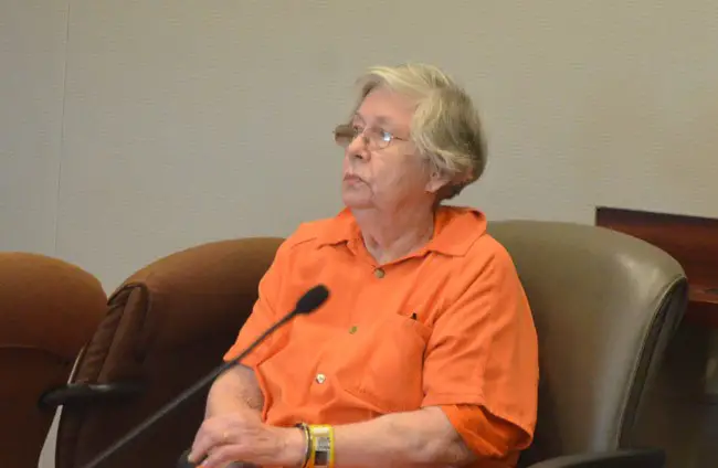 'I don’t remember that four-hour trek over where they were questioning me,' Anna Pehota told Judge Matthew Foxman, referring to her intyerrogation by Flagler County Sheriff's detectives. (© FlaglerLive)