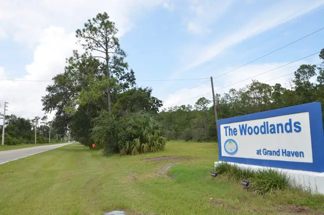 The proposed apartment complex would go up just north of the Oak Trails Boulevard entrance to the Woodlands, off Old Kings Road. (c FlaglerLive)