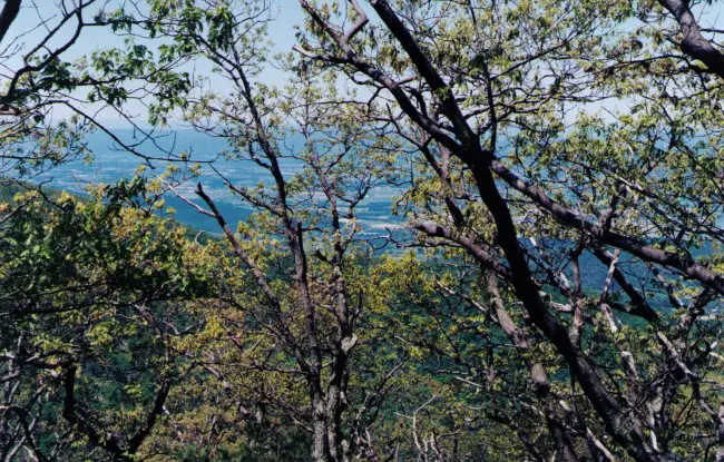 appalachian trail virginia