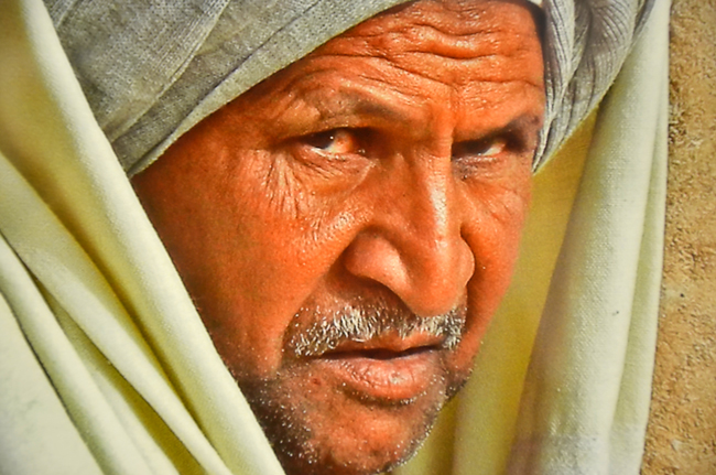 Detail from Joyce Gatonska’s “Guarding the Temple of Wadi As-Sebua,” one of 75 works on display at the Flagler County Art League's 2nd Annual Photography Show, through mid-June. (© FlaglerLive)Detail from Joyce Gatonska’s “Guarding the Temple of Wadi As-Sebua,” one of 75 works on display at the Flagler County Art League's 2nd Annual Photography Show, through mid-June. (© FlaglerLive)