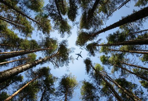 Researchers are working to make aviation fuel more environmentally friendly.