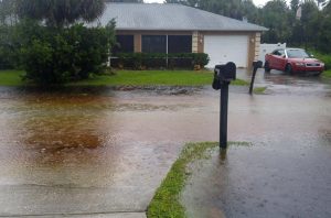 On Biltmore Place in the B-Section late Sunday afternoon, well before hurricane peak time. (Mer Lynn Salama)