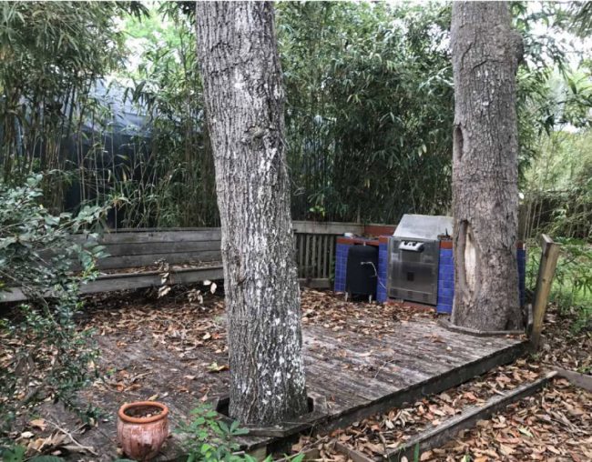 The back portion of the restaurant property, which the owner says will be transformed. (Flagler County)