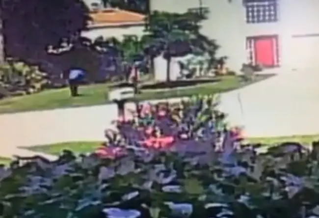 A still from a video shot by a neighbor capturing one of the two boys about to throw what appears to be a BB gun into the bushes. See the video below. (FCSO)