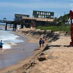 The beach north of the Flagler Beach pier has been carved out, without so much as a major storm. (© FlaglerLive)
