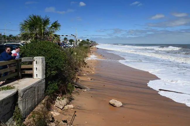 The dunes, already severely carved out in August by unusual tides, are now entirely gone north of the pier in Flagler Beach, leaving only a sliver of land between the ocean and State Road A1A and its boardwalk. (© FlaglerLive)
