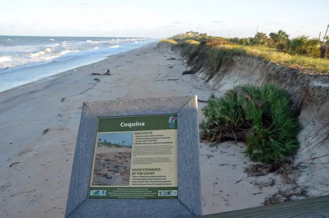 flagler county government beach restoration