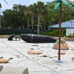 The hand-carved whale at the splash pad at Holland Park, beached in idleness for two years, symbolizes the fate of what was to be the park system's crown jewel. The city is in litigation against the splash pad's contractors and subcontractors. (© FlaglerLive)