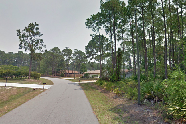 Beckner Lane in Palm Coast, the quiest residential street where Sophia Zhudro's detention and arrest unfolded on Jan. 24.