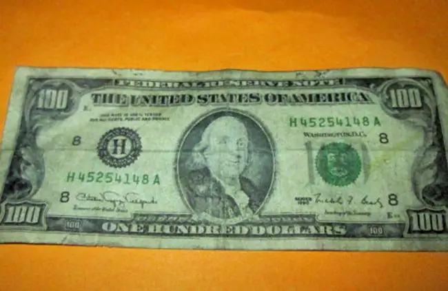 One of the counterfeit $100 bills used at a Palm Coast store, showing a somewhat more stupefied Benjamin Franklin than the Federal Reserve would allow. (FCSO)