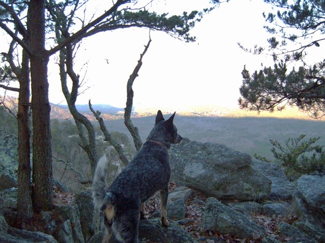 denise bevan appalachian trail