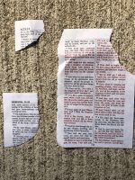 Shreds from a bible as they were left in a mailbox in Seminole Woods. (© FlaglerLive)