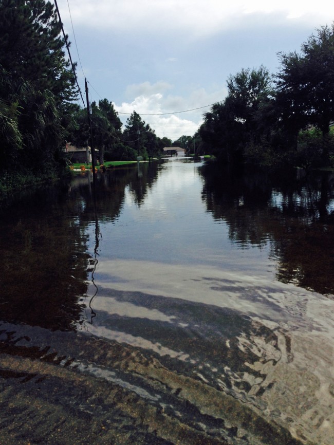 Bickford Drive, imitating a tributary of the Suwanee River. Click on the image for larger view. (Shar Gomez)