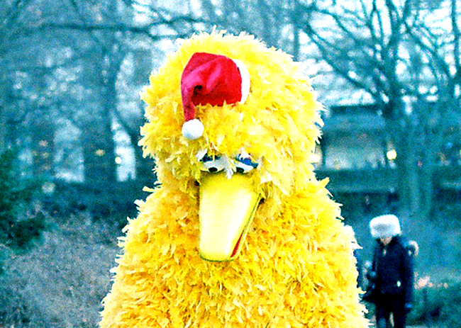 PBS funding eliminated in Florida: The winter of Big Bird's discontent, compliments of Florida. 