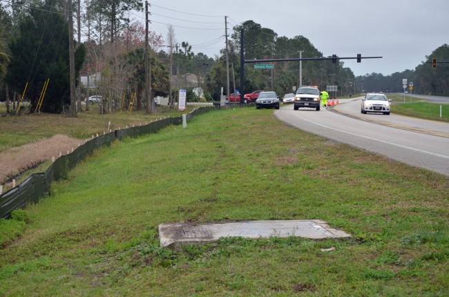 The bike path is visible in the grass until it hits the culvert. Click on the image for larger view. (© FlaglerLive)