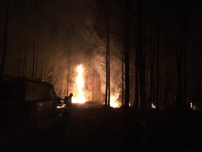 wildfire at night Bimini