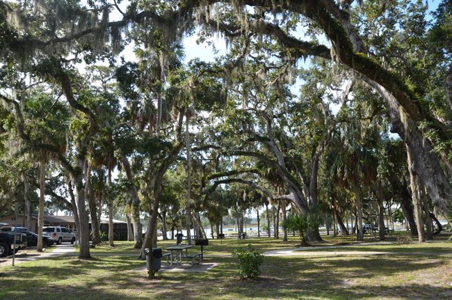 The canopy at Bing's Landing today. Captain's BBQ is to the left. (c FlaglerLive)