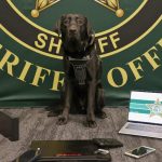 A different kind of Flash Gordon: K-9 Birdie. (FCSO)