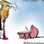 Birthright Citizenship by Milt Priggee, WeAreGettingScrewed.org